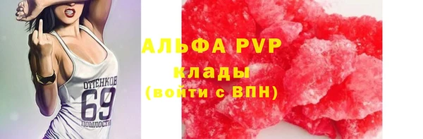 ECSTASY Армянск