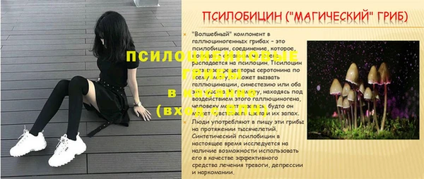 ECSTASY Армянск